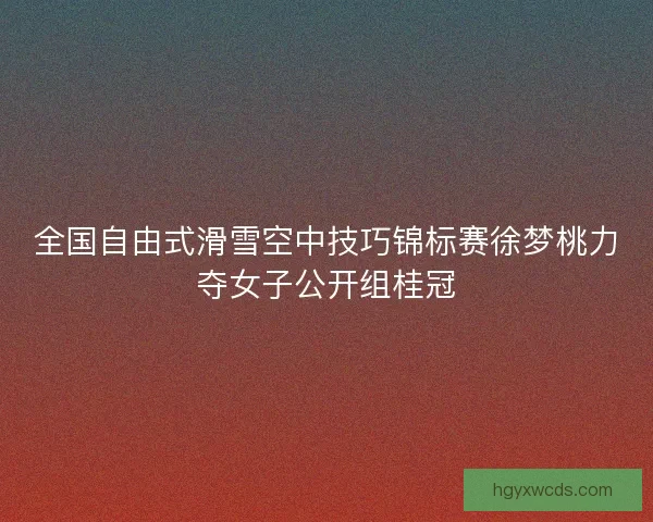 全国自由式滑雪空中技巧锦标赛徐梦桃力夺女子公开组桂冠